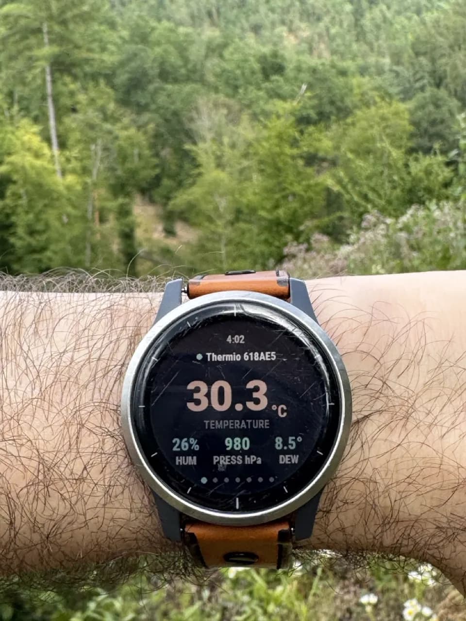 Paired straight to the Garmin over Bluetooth